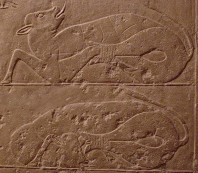 carvings1.jpg