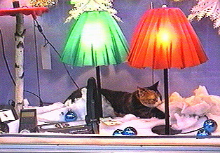 Maillot de foot ensemble