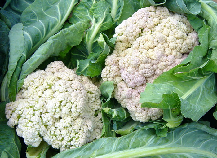 cauliflowers.jpg