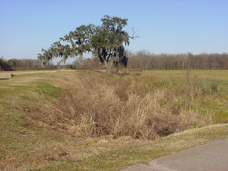 Canal at the Battle of New Orleans