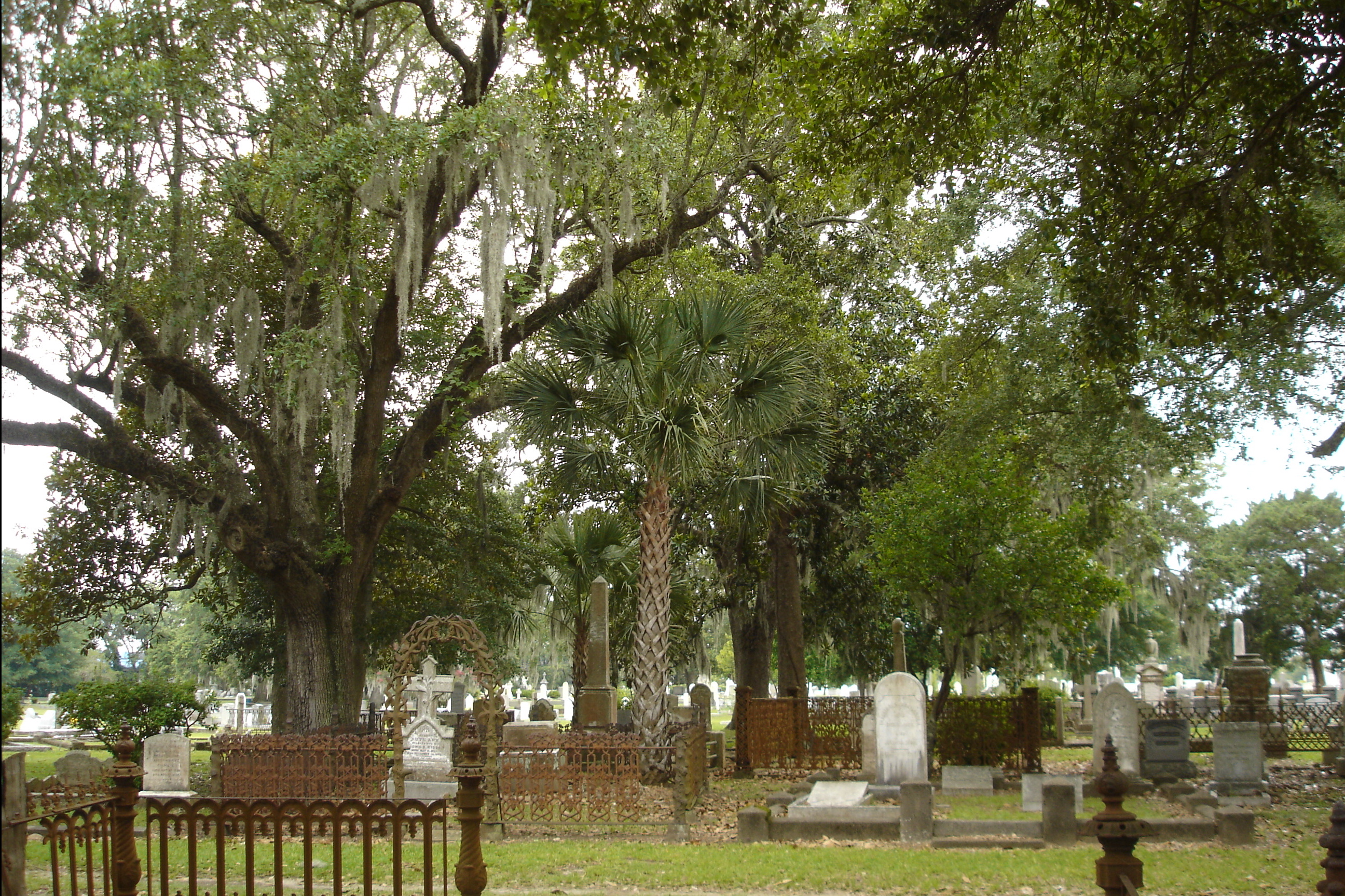 charleston_cemetery.jpg