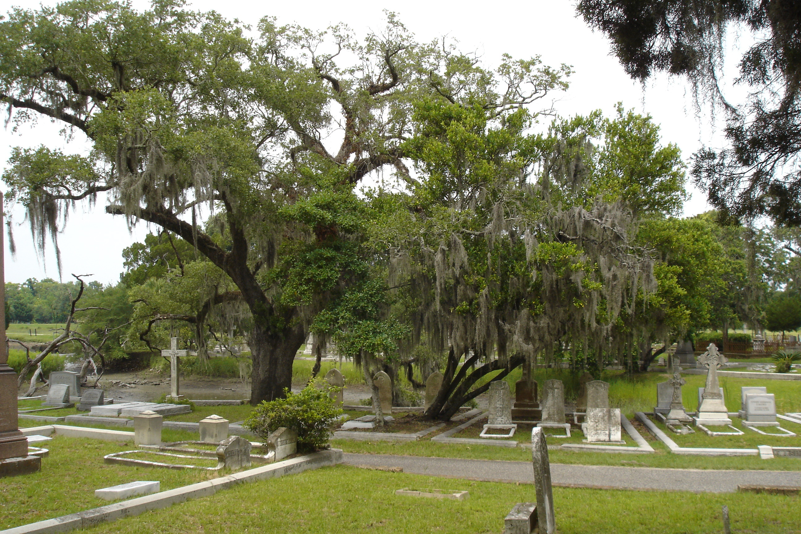 charleston_cemetery_2.jpg