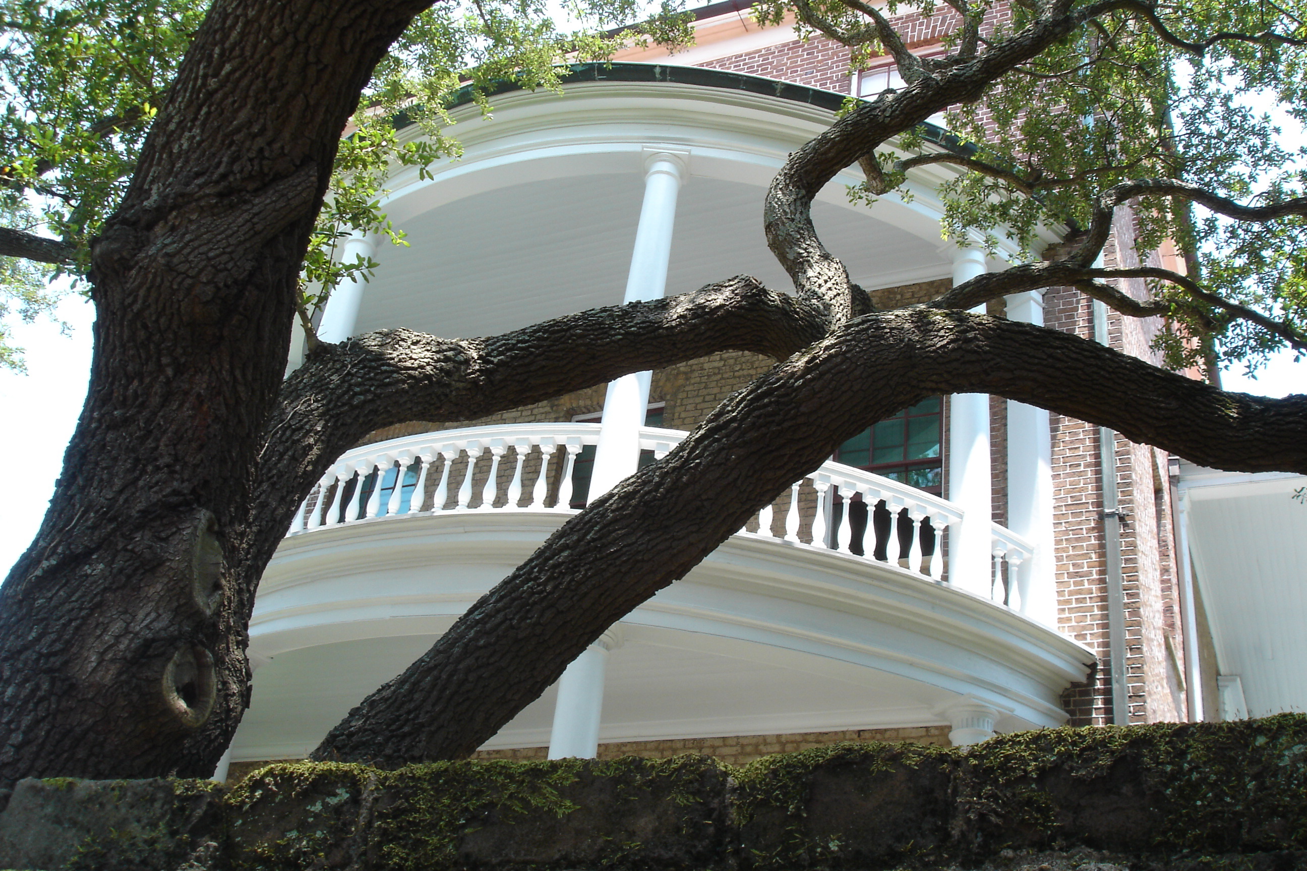 Charleston Architecture Charleston Architecture