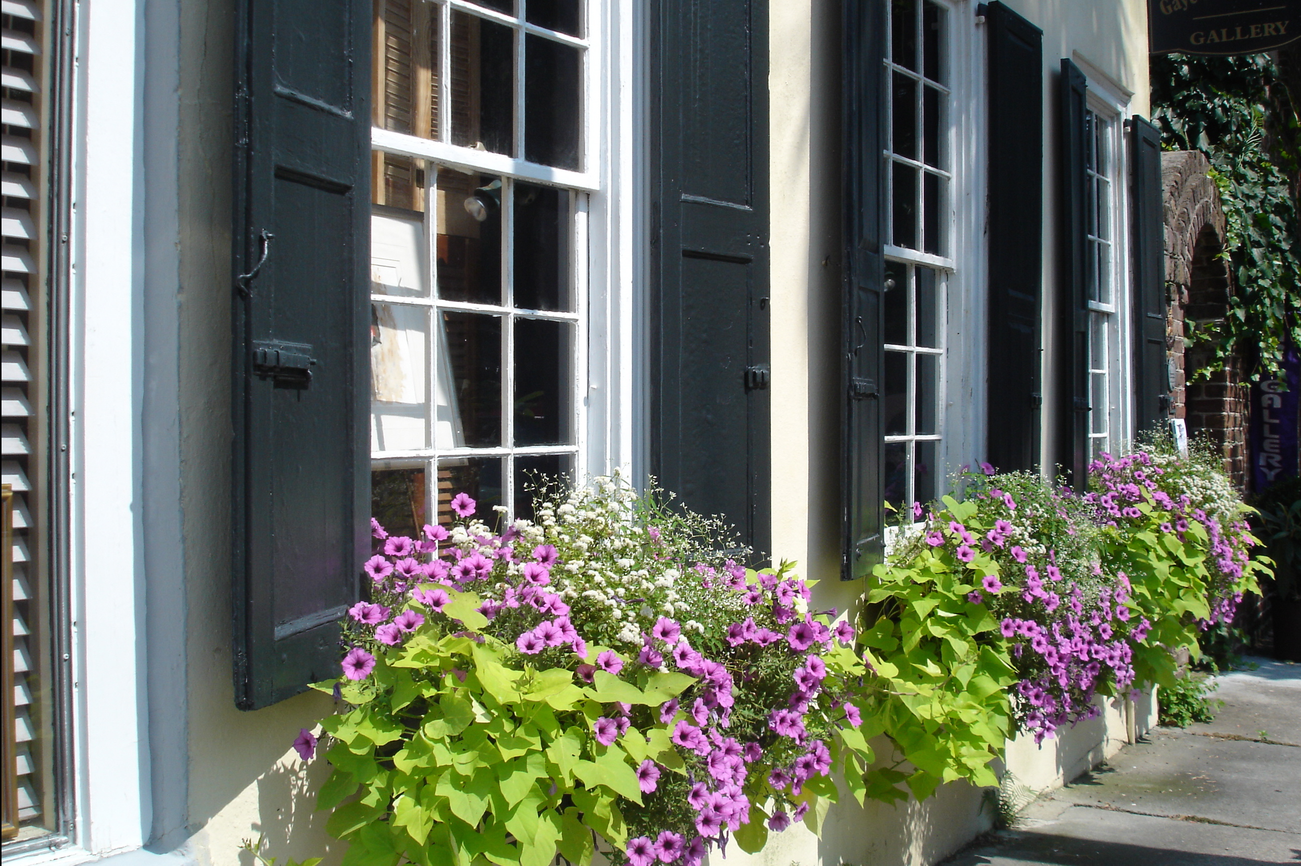 charleston_house_20.jpg