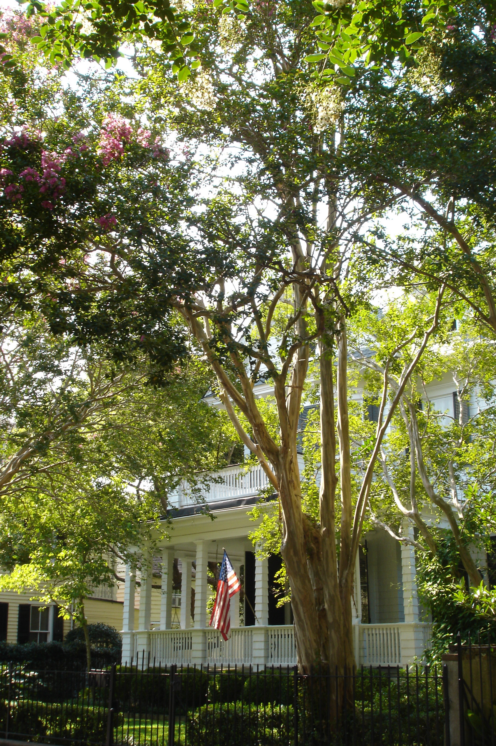 charleston_house_43.jpg