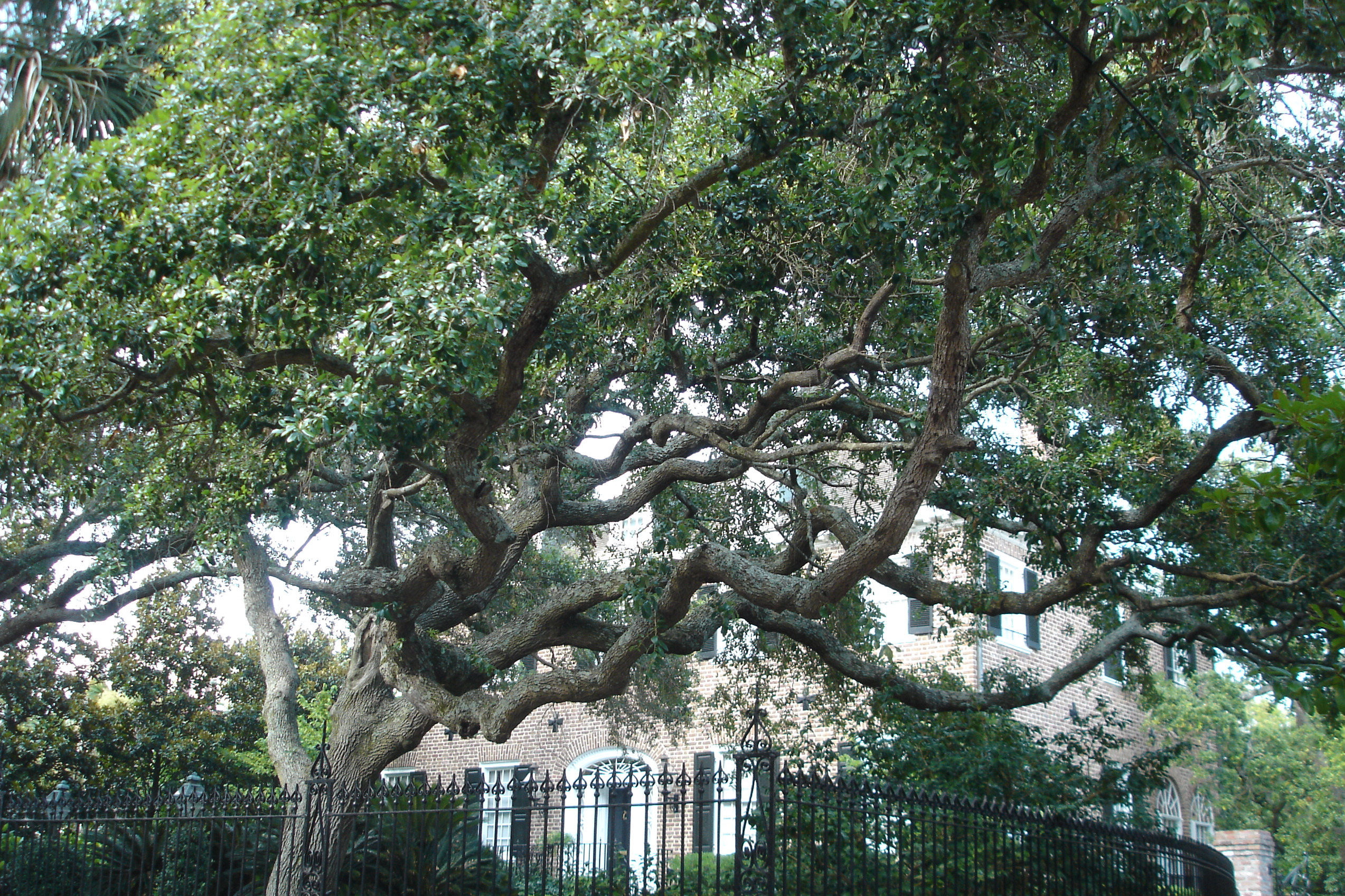 Charleston Architecture