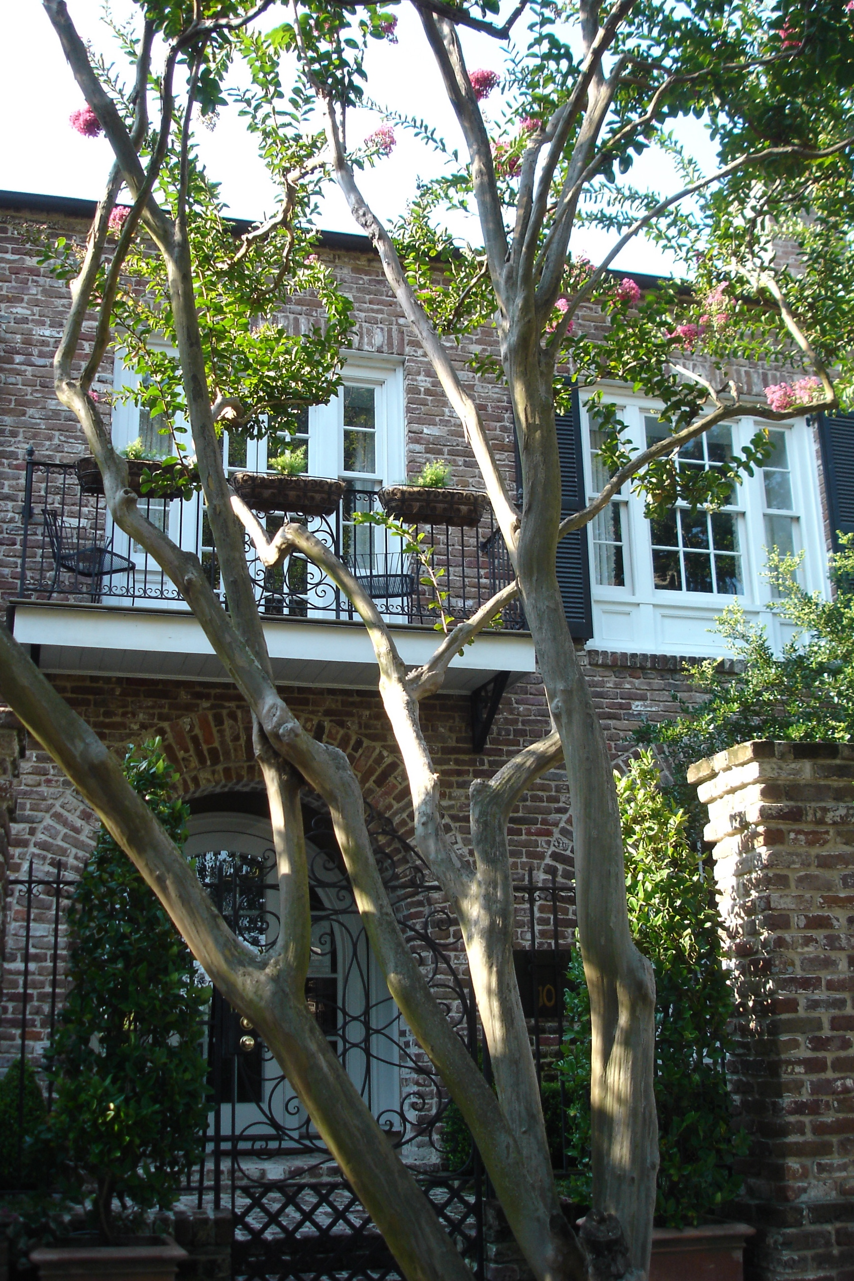 Charleston Architecture