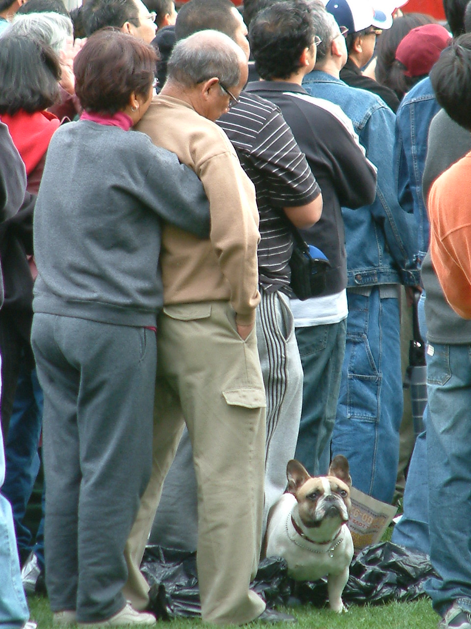 Pasadena, Chinese New Year12