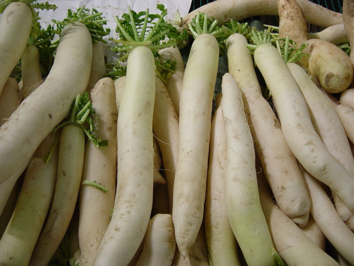 Chinese turnips