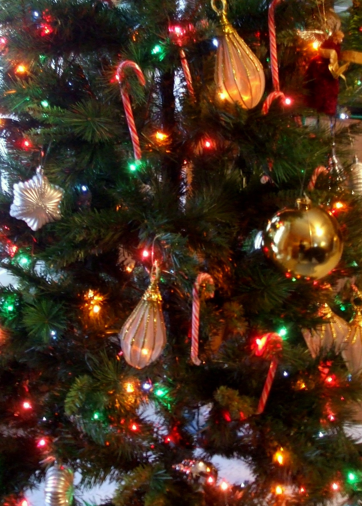 christmasphotos9076.jpg - decorations on tree