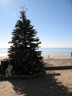 christmas tree on the beach