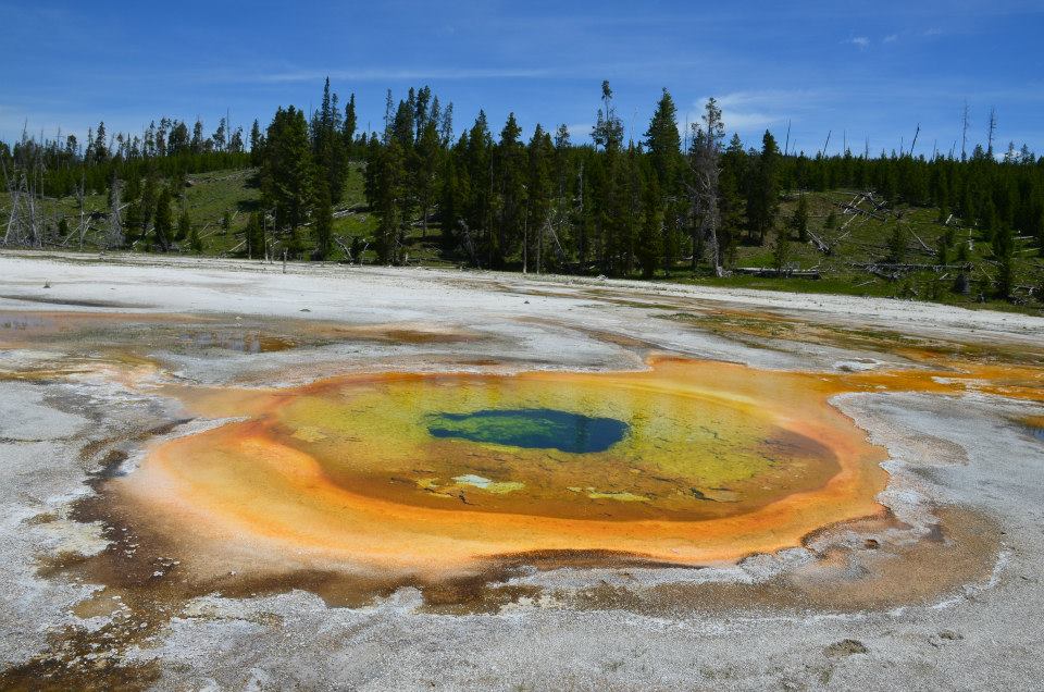 The Chromatic Pool at Yellowstone National Park