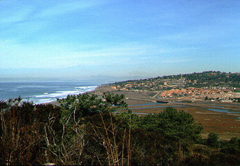 California Coast near Monterey, California