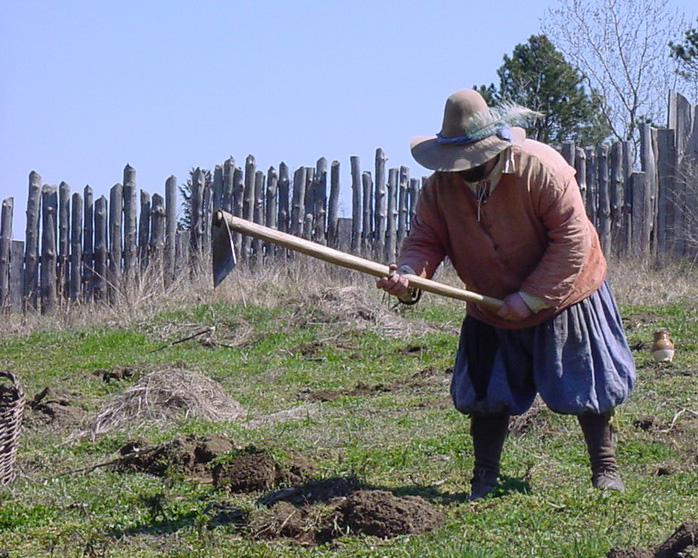 Colonial man working in field