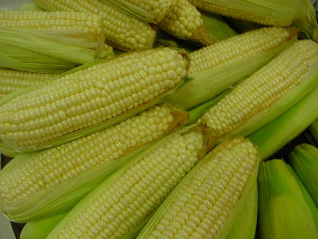 sweet white corn