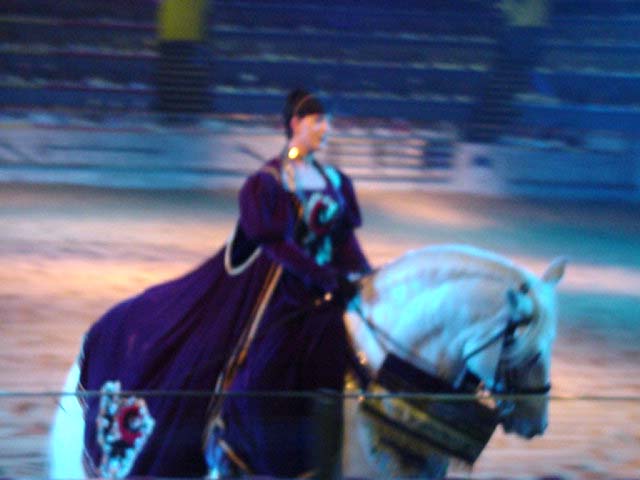 Countess on her andalusian horse