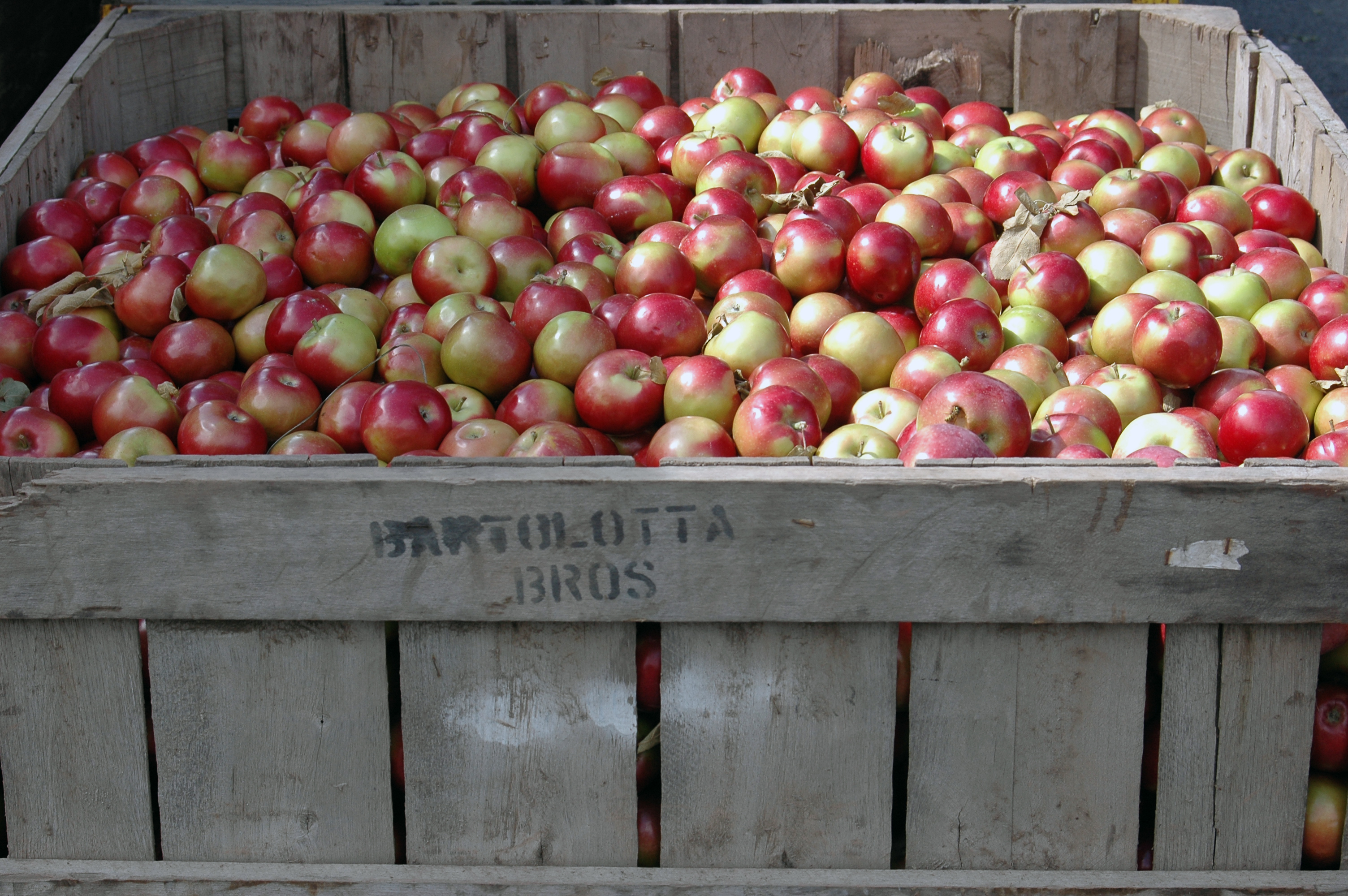 Crate Full of Apples