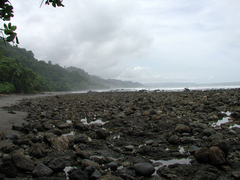 Costa Rican Coast