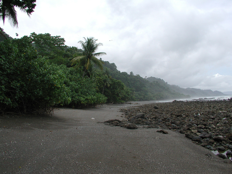 Costa Rican Coast