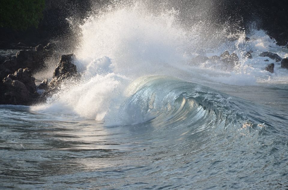 Cresting wave crashing ashore.