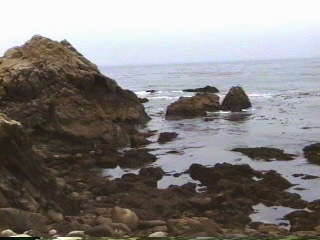 California Coast near Monterey, California