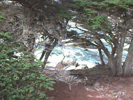 California Coast near Monterey, California