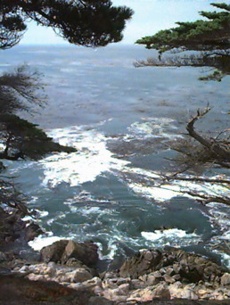 California Coast near Monterey, California