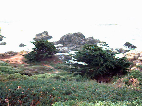 California Coast near Monterey, California