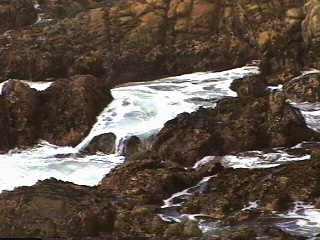 cstc058.jpg