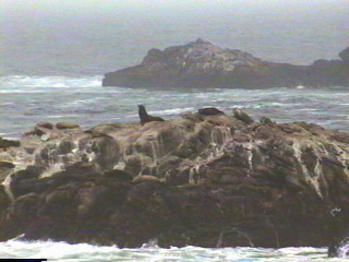 California Coast near Monterey, California