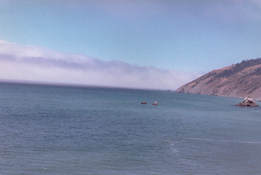 California Coast near Monterey, California