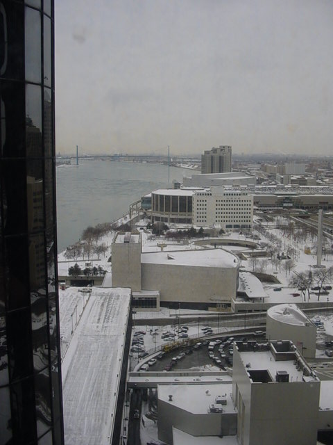 View of Detroit from the Renaissance Center