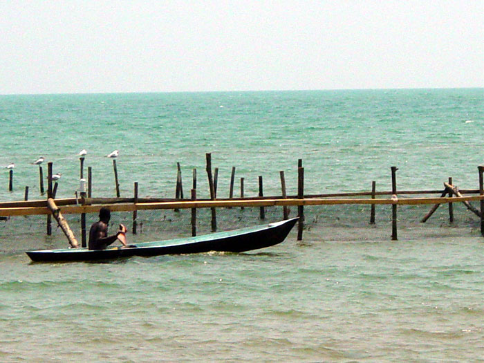 Garifuna man checking on his fish traps