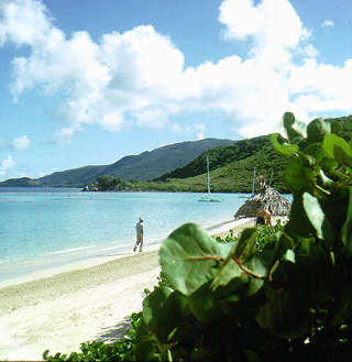 The shore at Little Dix Bay in the Caribbean