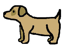 dog