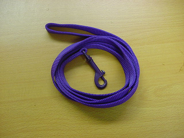 Dog Leash