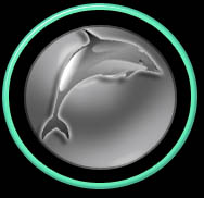 Dolphin Icon