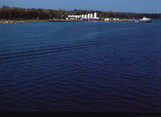 Shore scene showing Dorr City