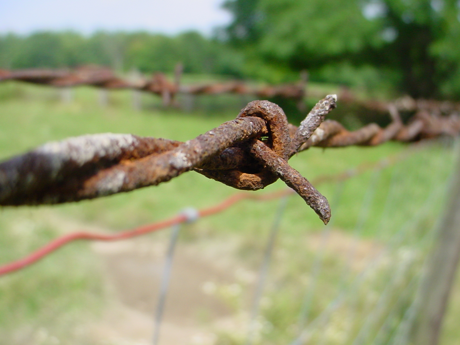 Barbed Wire