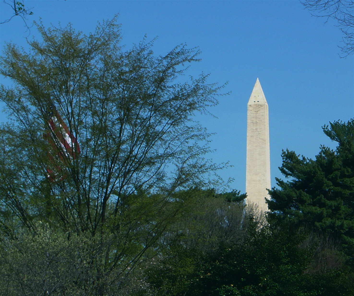 Washington Monument and trees