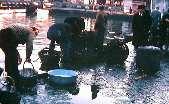 Fish Market at Pozzuli