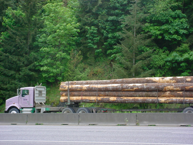 dsc004101.jpg