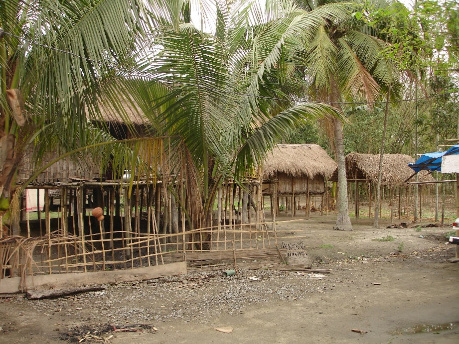 Bamboo Village