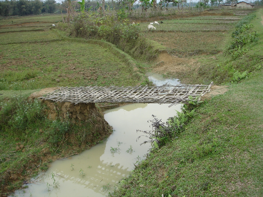 Bridge over the creek