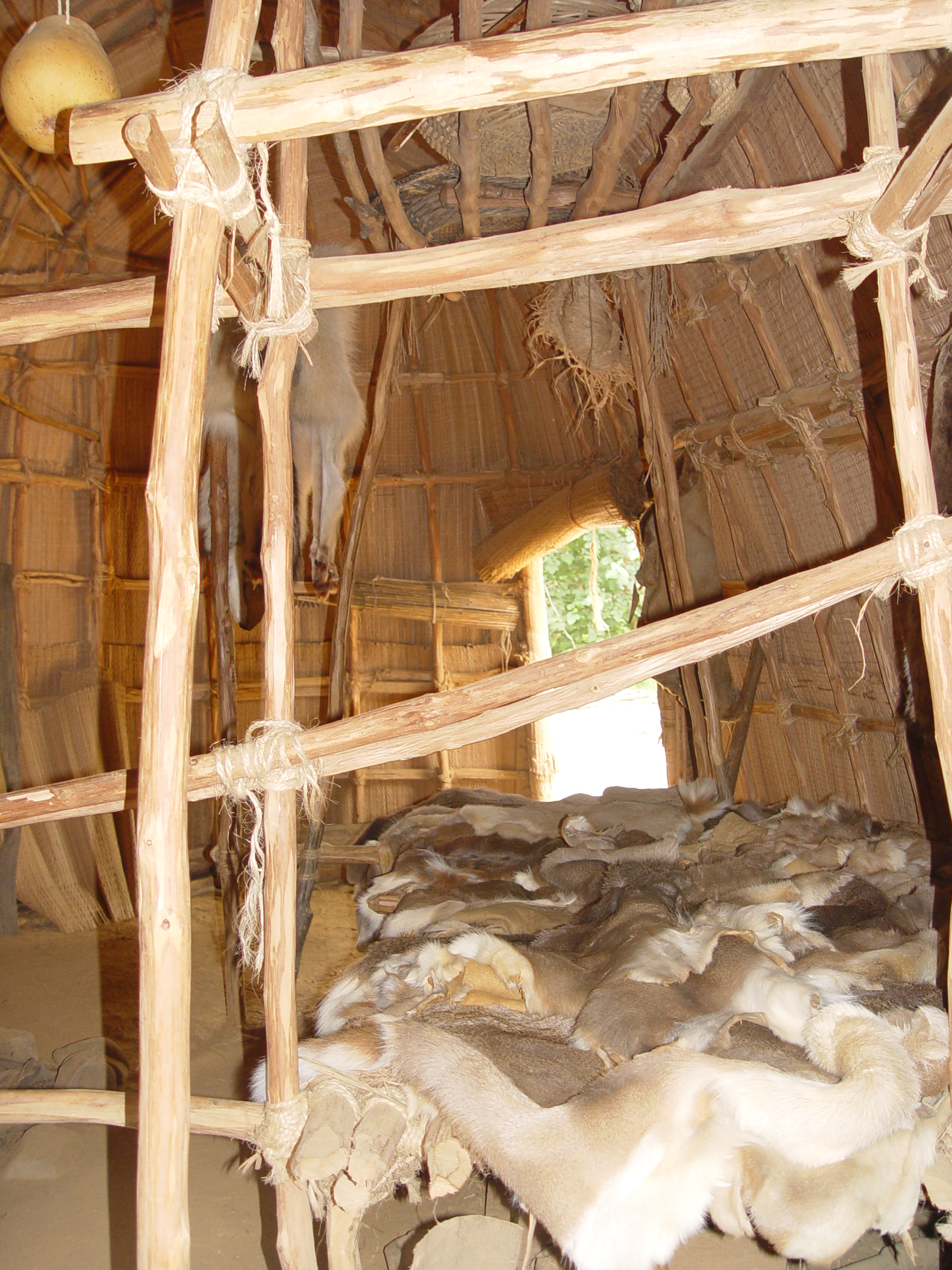 Inside the Native American home