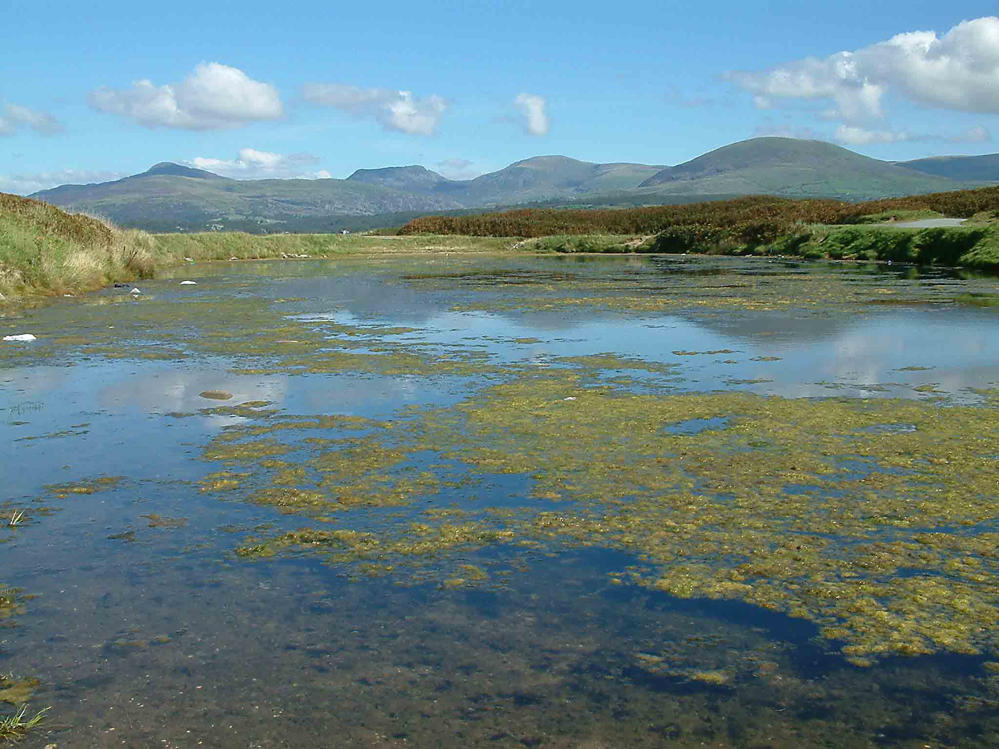 shell island