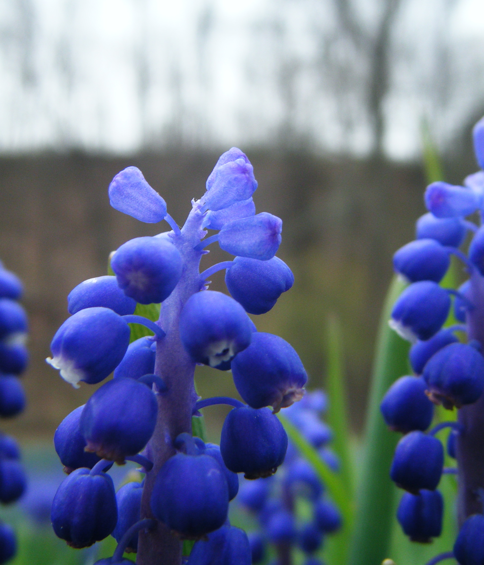 dscf1287.jpg
