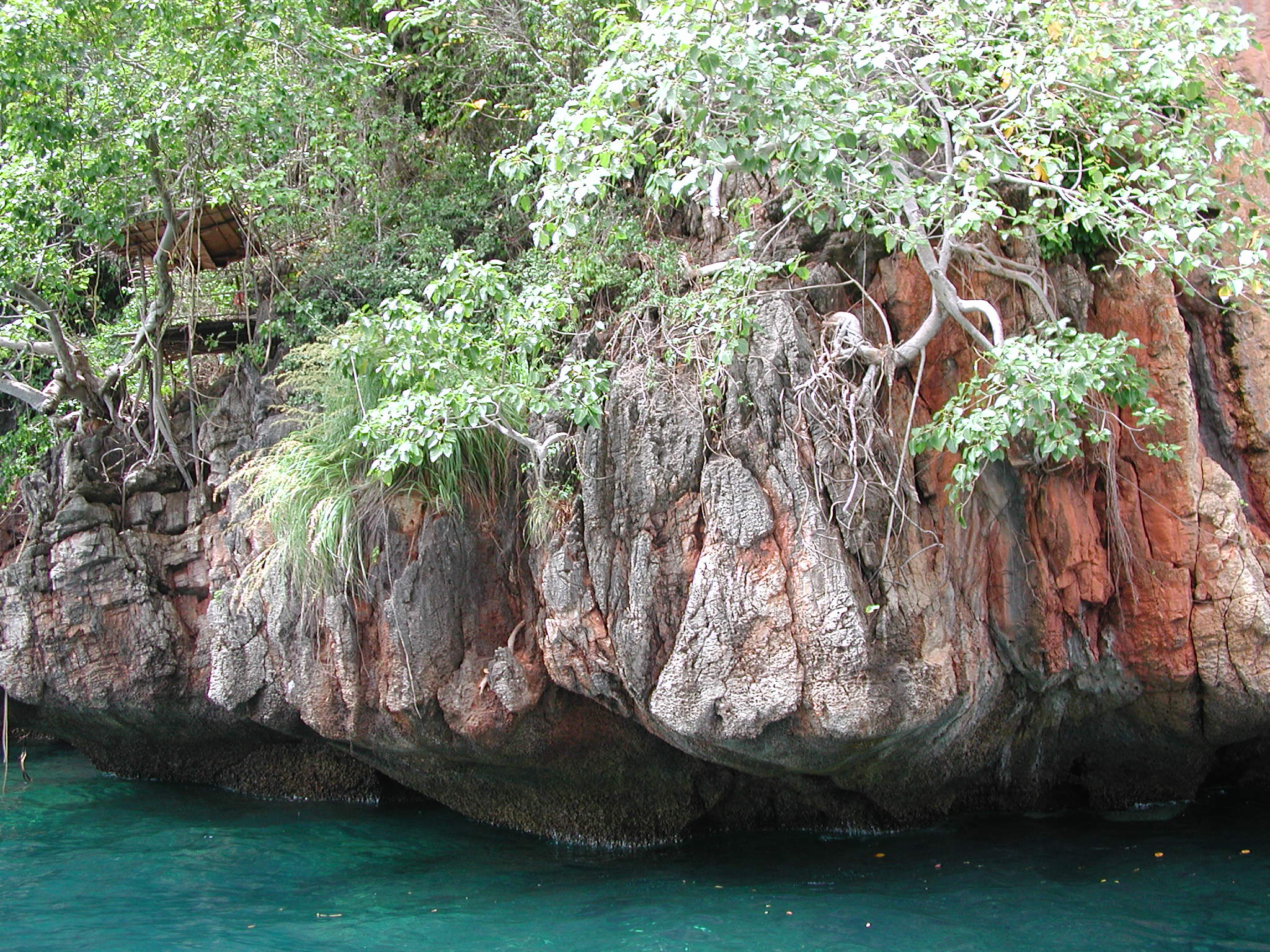 Tree house in a great diving spot