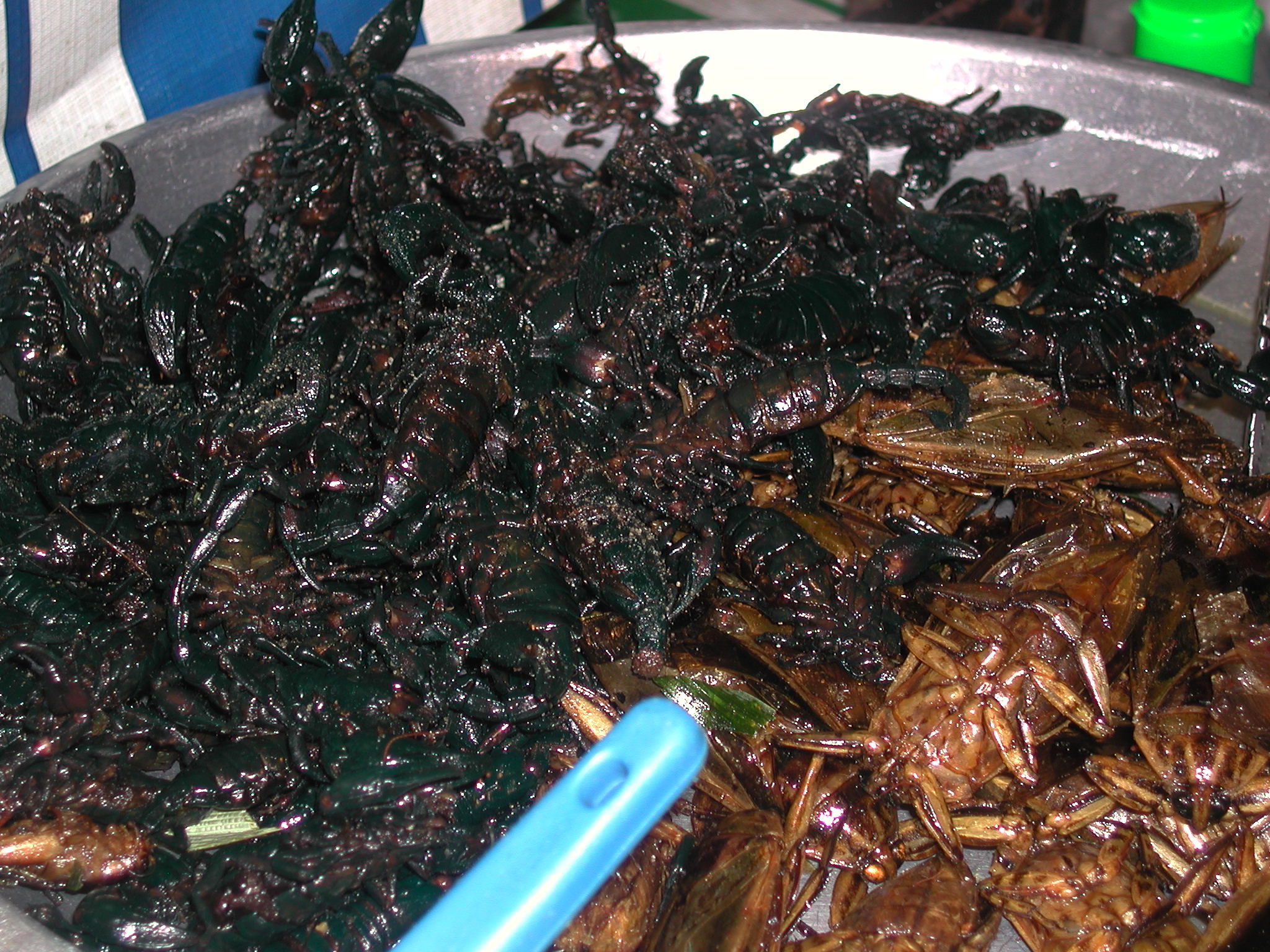 Fried Scorpions/Roaches