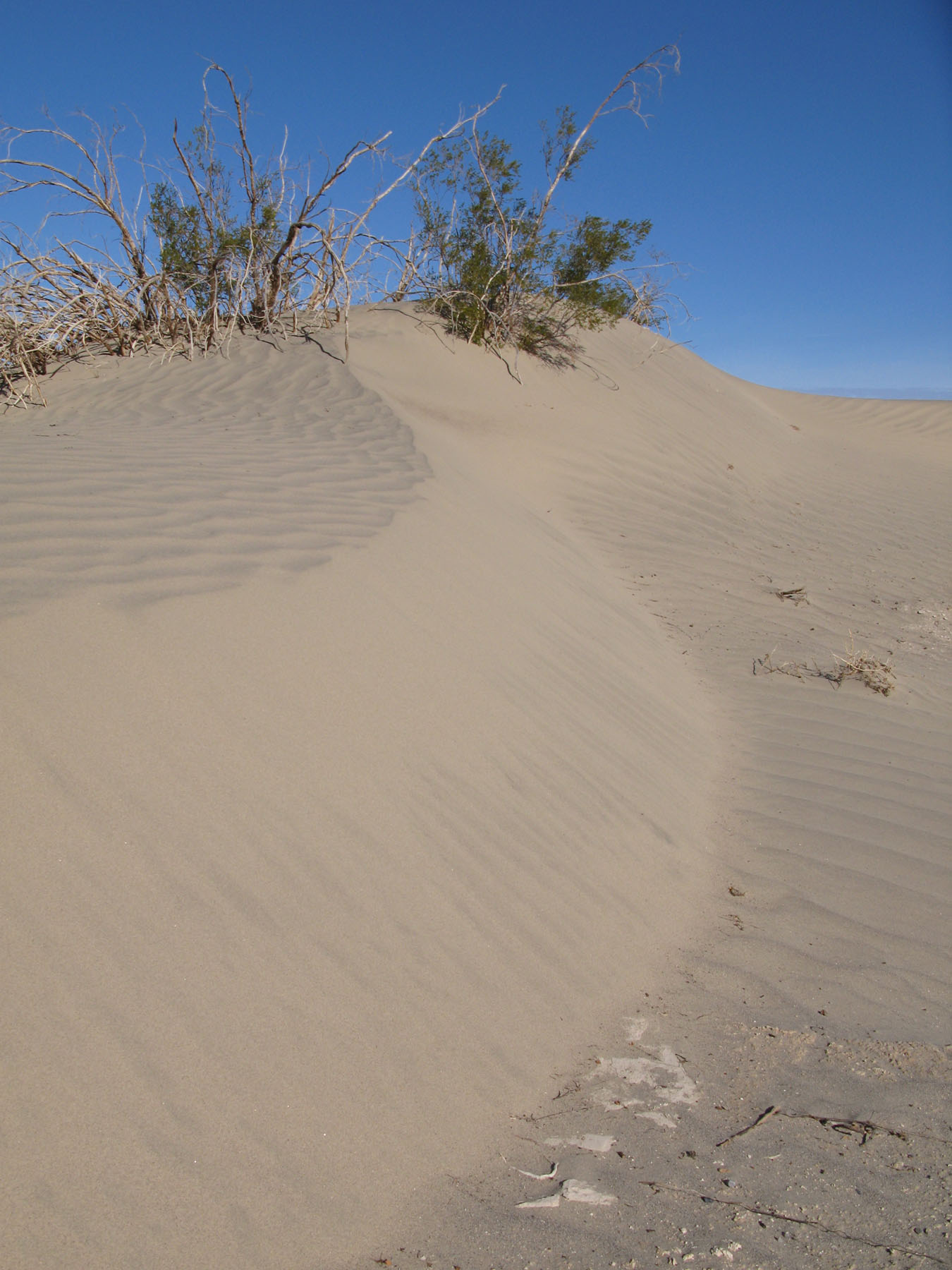 death valley dunes